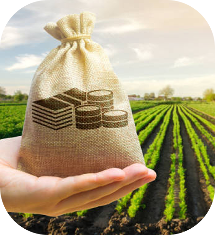 Imagem ilustrativa de financiamento agrícola AgroSeal
